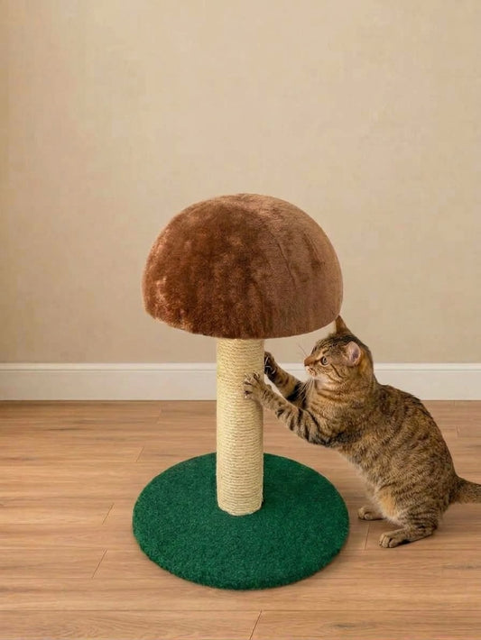 MUSHROOM ONE - gomba alakú macskakaparófa
